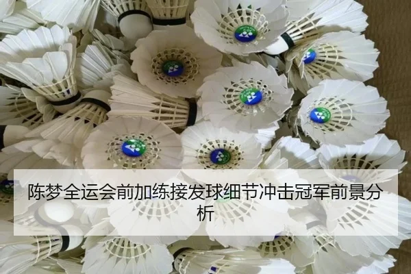 陈梦全运会前加练接发球细节冲击冠军前景分析